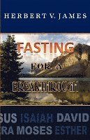 bokomslag Fasting For A Breakthrough