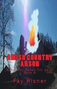 bokomslag Amish Country Arson: Nurse Hal Among The Amish