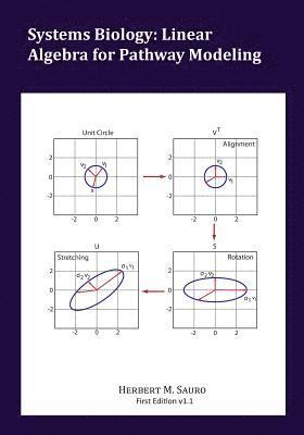 bokomslag Systems Biology: Linear Algebra for Pathway Modeling