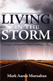 bokomslag Living in the Storm: Creating Joy and Inspiration When Everything is a Mess