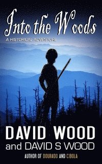 bokomslag Into the Woods