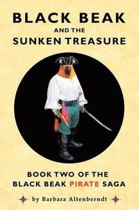 bokomslag Black Beak And The Sunken Treasure