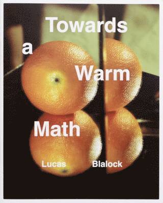 Lucas Blalock, John Houck - Towards a Warm Math, Häftad