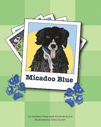 Micadoo Blue 1