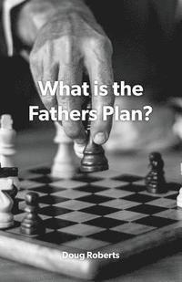 bokomslag What is the Fathers Plan?