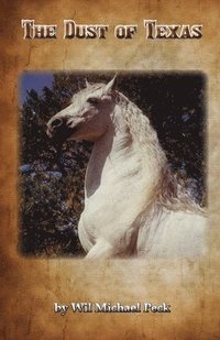 bokomslag Dust of Texas