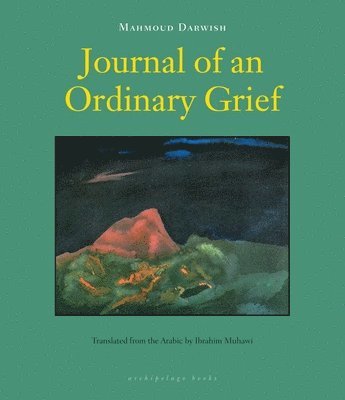 Journal of an Ordinary Grief 1