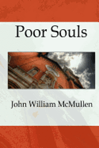 bokomslag Poor Souls