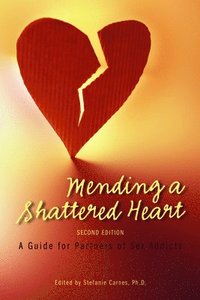 bokomslag Mending a Shattered Heart