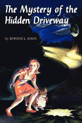 The Mystery of the Hidden Driveway 1