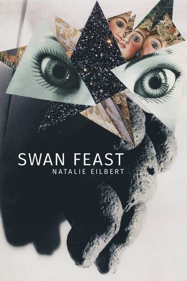 bokomslag Swan Feast