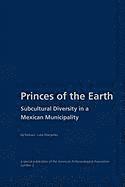 bokomslag Princes of the Earth: Subcultural Diversity in a Mexican Municipality