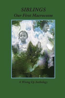 Heather Tosteson, Charles D Brockett - Siblings, Häftad