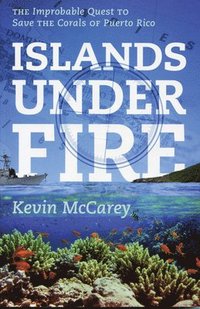 bokomslag Islands Under Fire