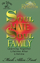 bokomslag Soul Mate Soul Family