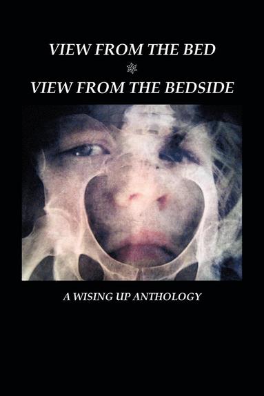 Heather Tosteson, Phyllis a Langton, Charles D Brockett - View from the Bed, Häftad