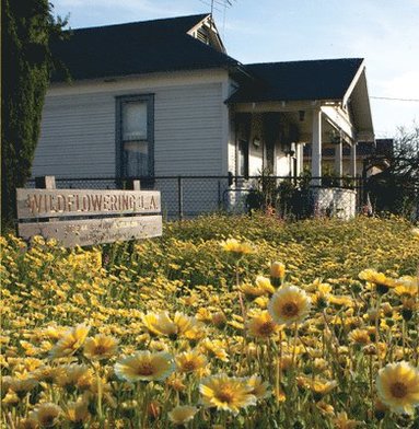 bokomslag Fritz Haeg: Wildflowering L.A.