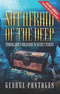 bokomslag Not Afraid Of The Deep