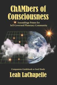 bokomslag Chambers of Consciousness: Assemblage Points for Self-Governed Planetary Community