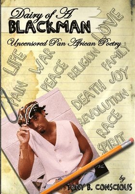 bokomslag Diary Of A Black Man