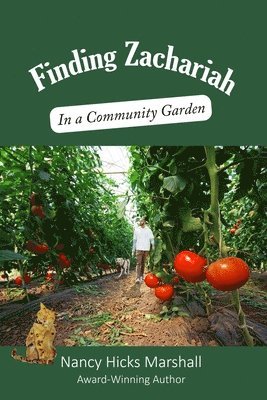 Nancy Hick Marshall - Finding Zachariah, Häftad
