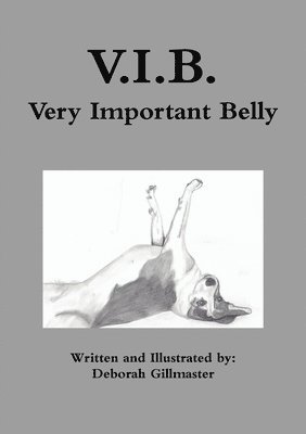 V.I.B. 1