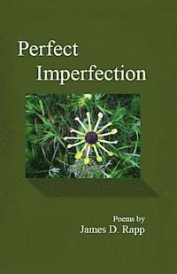 bokomslag Perfect Imperfection