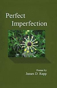 James D. Rapp - Perfect Imperfection, Häftad