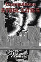 bokomslag Triangulation: Steel Cities