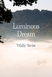 bokomslag Luminous Dream