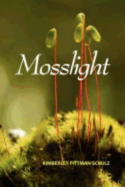 Mosslight 1