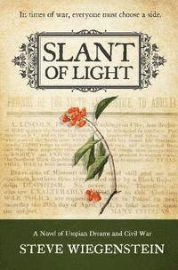 bokomslag Slant of Light Volume 1