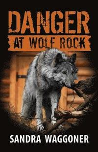 bokomslag Danger at Wolf Rock