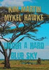 bokomslag Under a Hard Blue Sky