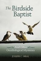 bokomslag The Birdside Baptist