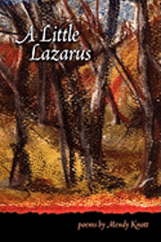 bokomslag A Little Lazarus