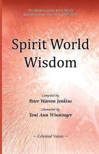 bokomslag Spirit World Wisdom
