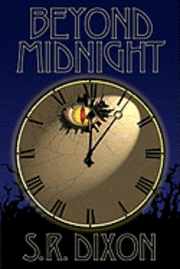 bokomslag Beyond Midnight