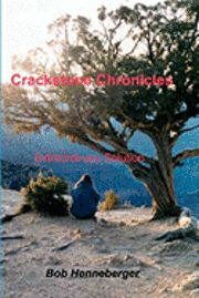 bokomslag Crackstone Chronicles: Extinction