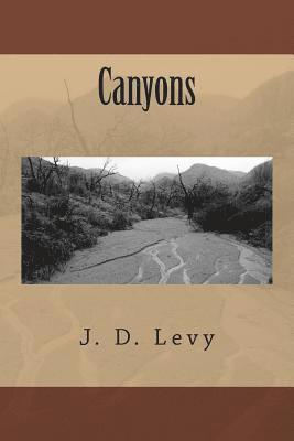 Canyons 1