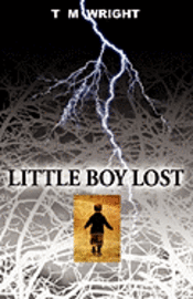 bokomslag Little Boy Lost
