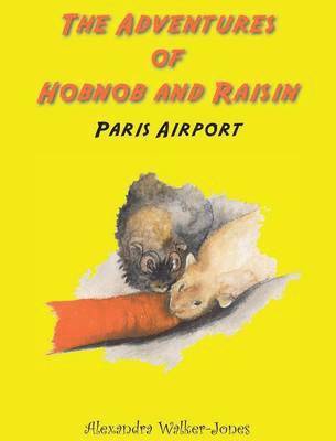 bokomslag The Adventures of Hobnob and Raisin - Paris Airport