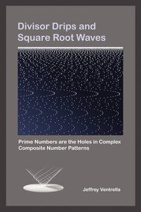 bokomslag Divisor Drips and Square Root Waves