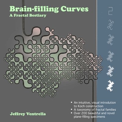 Brainfilling Curves 1