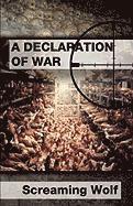 bokomslag Declaration of War