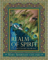 bokomslag The Realm of Spirit: The Connected Be-ing