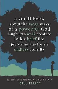 bokomslag A Small Book about the Large Ways of a Powerful God taught to a Weak Creature: 12 Life Lessons we All Must Learn