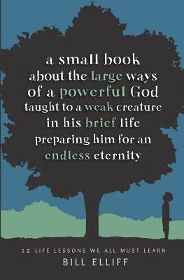 A Small Book about the Large Ways of a Powerful God taught to a Weak Creature: 12 Life Lessons we All Must Learn 1