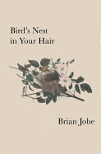 bokomslag Birds Nest In Your Hair