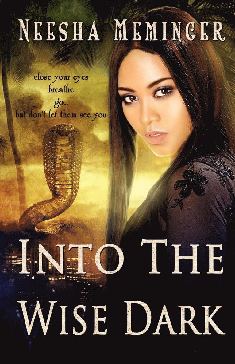 Into the Wise Dark